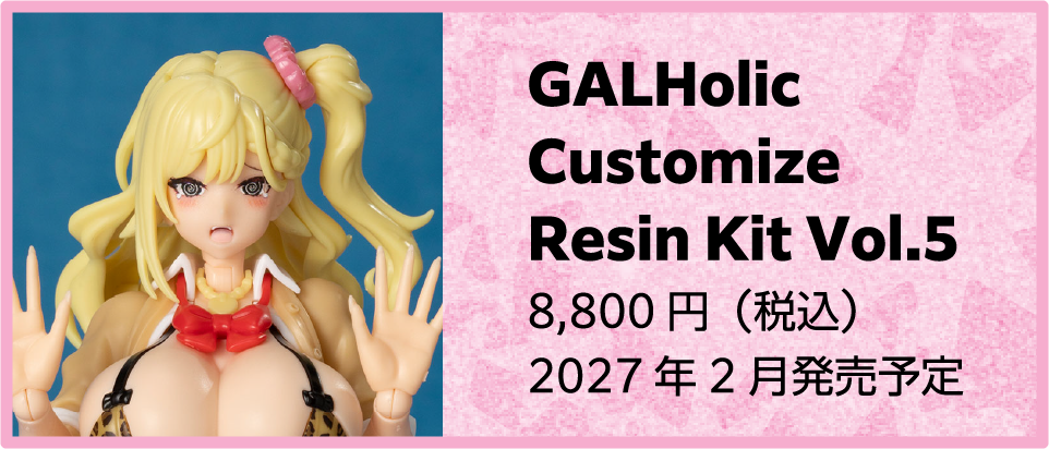 GALHolic Customize Resin Kit Vol.5